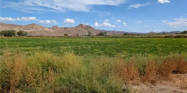 Image 2: Rolling green pastures unfold against a backdrop o