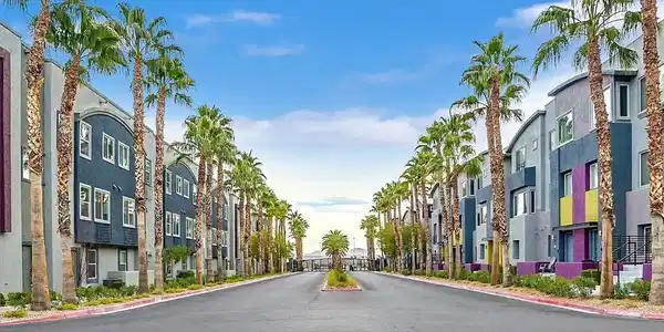 Image 3: This palm-lined avenue showcases contemporary resi