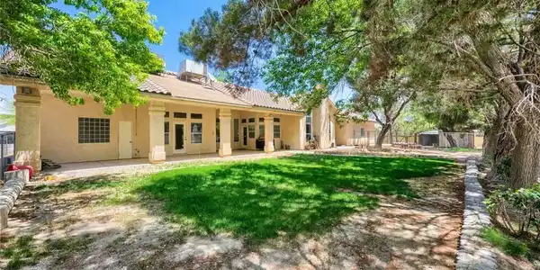 Image 3: Yard