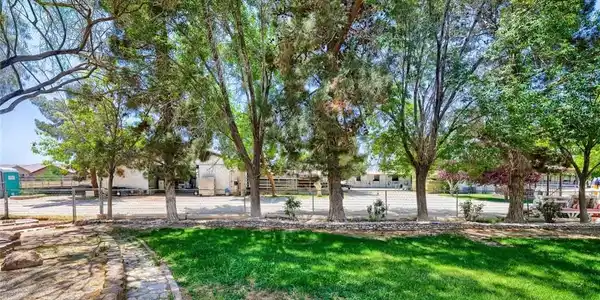 Image 4: Yard