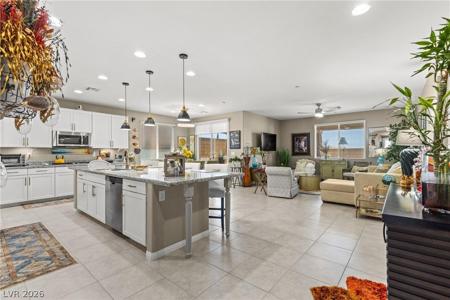 348 Cadence Vista Drive