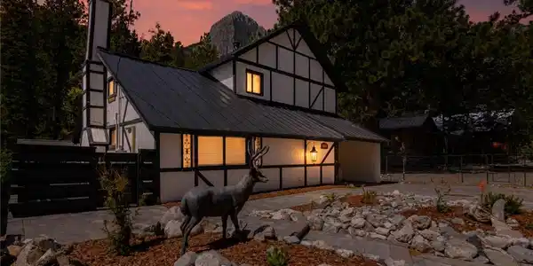 Image 4: A charming Tudor-style home nestled amongst toweri