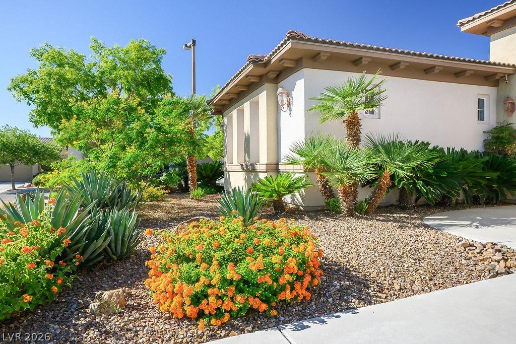 Image 4: Front Yard in Full Bloom Photo September 2025