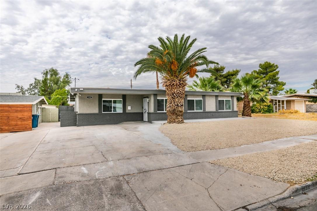 Image 3: Mature palm trees adorn the low-maintenance gravel