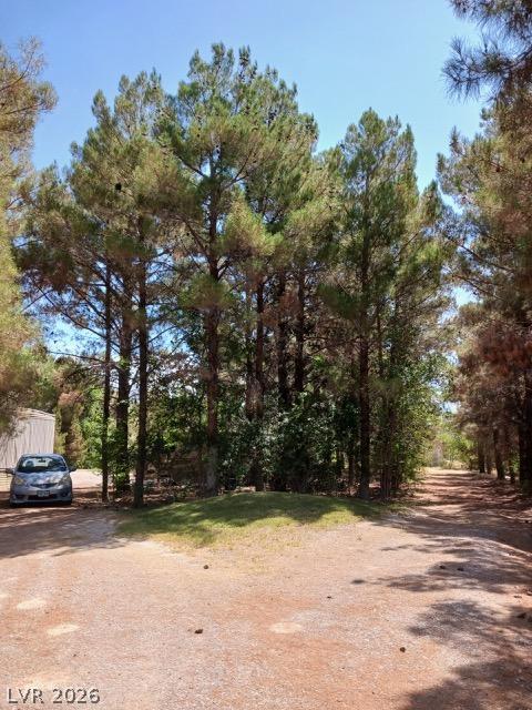 Image 2: A tranquil, tree-lined path offers a peaceful retr