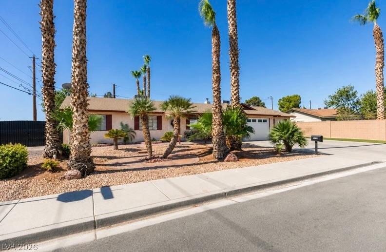 Image 3: Mature palms punctuate the desert landscaping in f