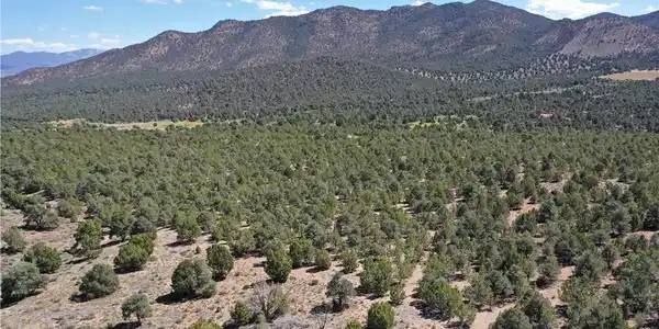 Image 2: Rugged ridges rise above a vast expanse of pinon a