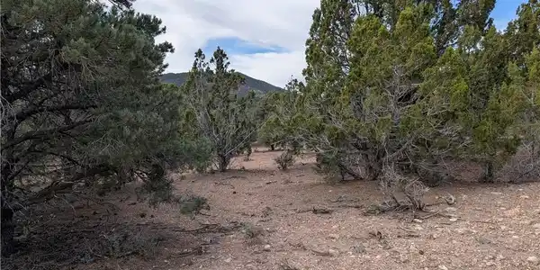 Image 3: Mature pinon and juniper trees dot the natural lan