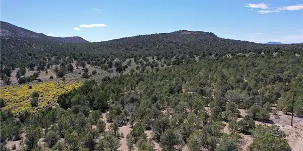 Image 4: Lush evergreen trees dot rolling hillsides under a