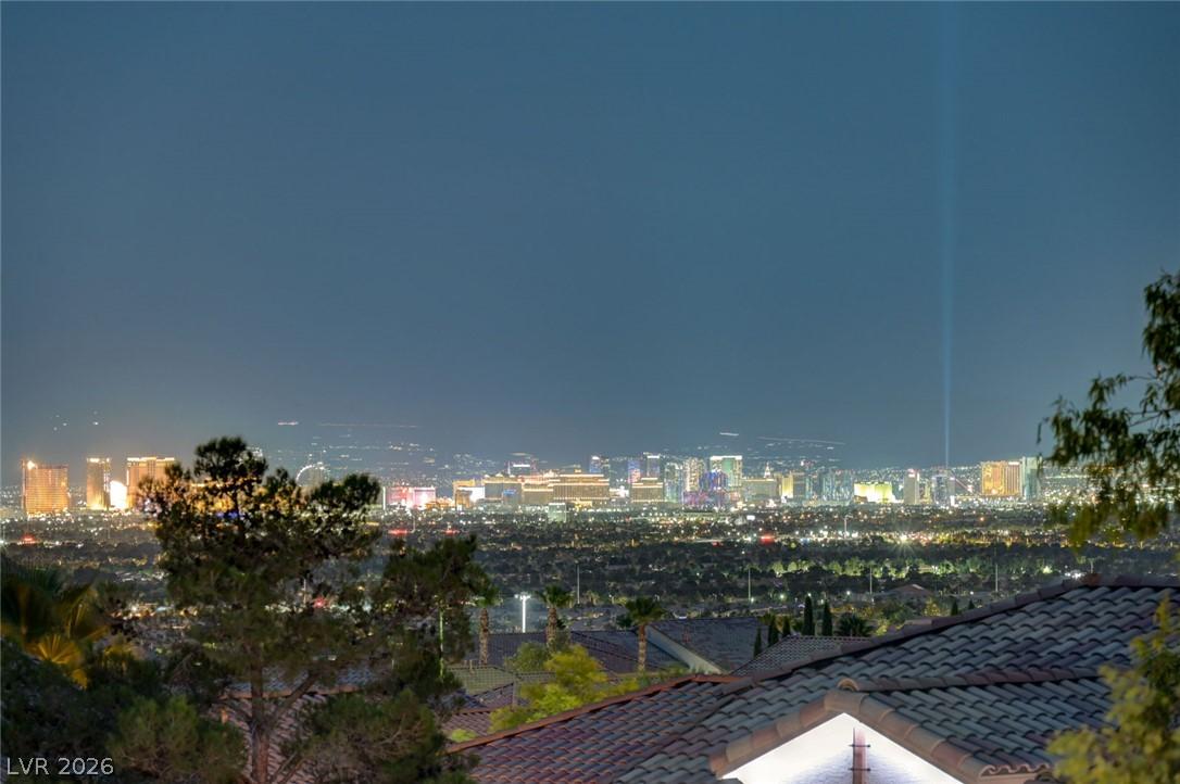 Image 2: Panoramic night views of the glittering cityscape
