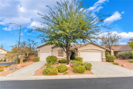 3512 Natural View Street