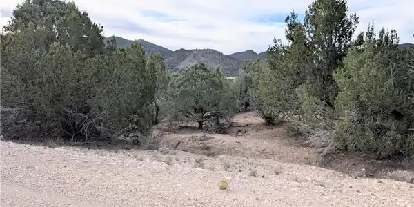 Image 3: Rugged terrain and mature evergreens define this s
