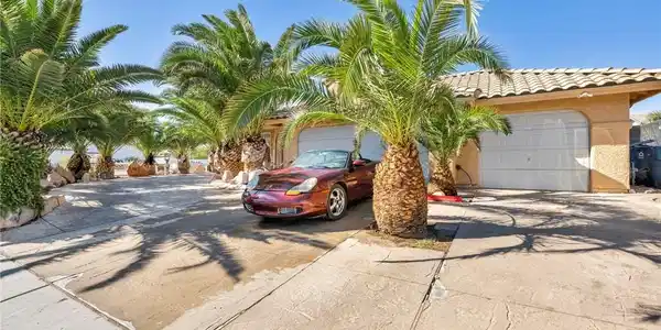 Image 2: Lush palm trees frame the concrete driveway leadin