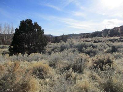 Nevada Hwy 322 (2.19 Ac)