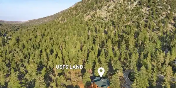 Image 4: Premium lot borders National Forest/USFS land to t
