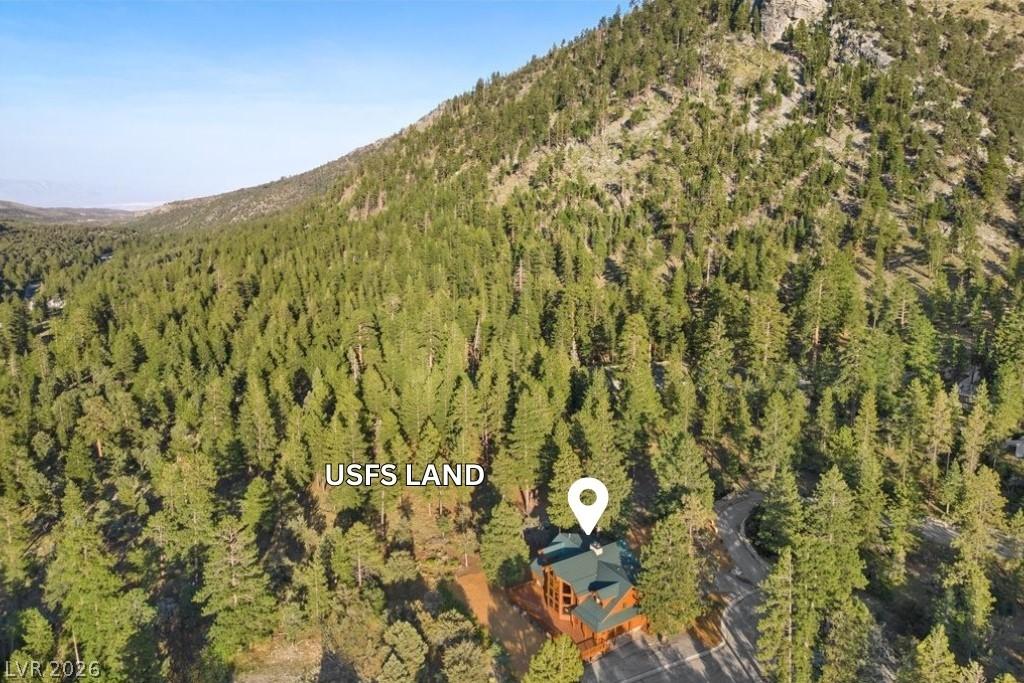 Image 4: Premium lot borders National Forest/USFS land to t