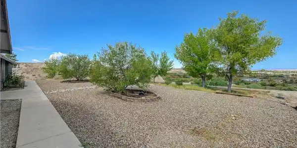 Image 2: View of yard