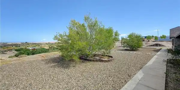 Image 3: View of yard
