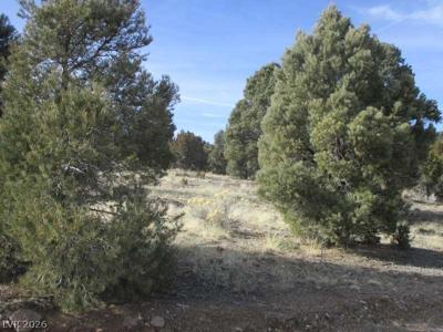 NV Hwy 322 (13.753 Ac)