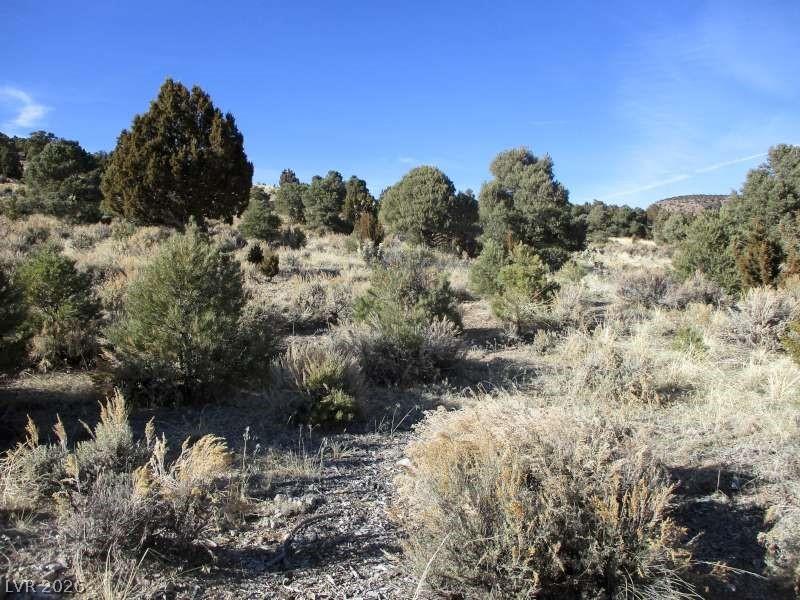 Image 4: View of nature