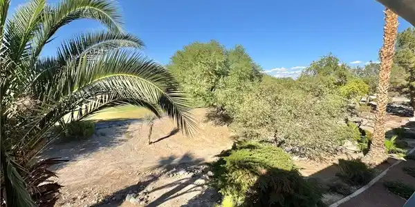 Image 3: Lush desert landscaping and mature palm trees crea