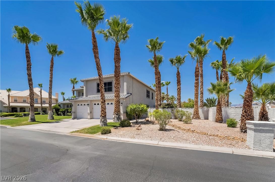 Image 4: A desert oasis with towering palm trees framing a