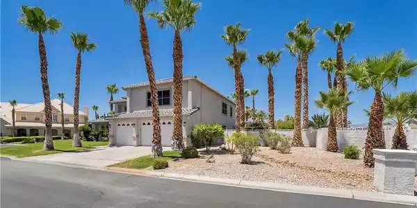 Image 4: A desert oasis with towering palm trees framing a