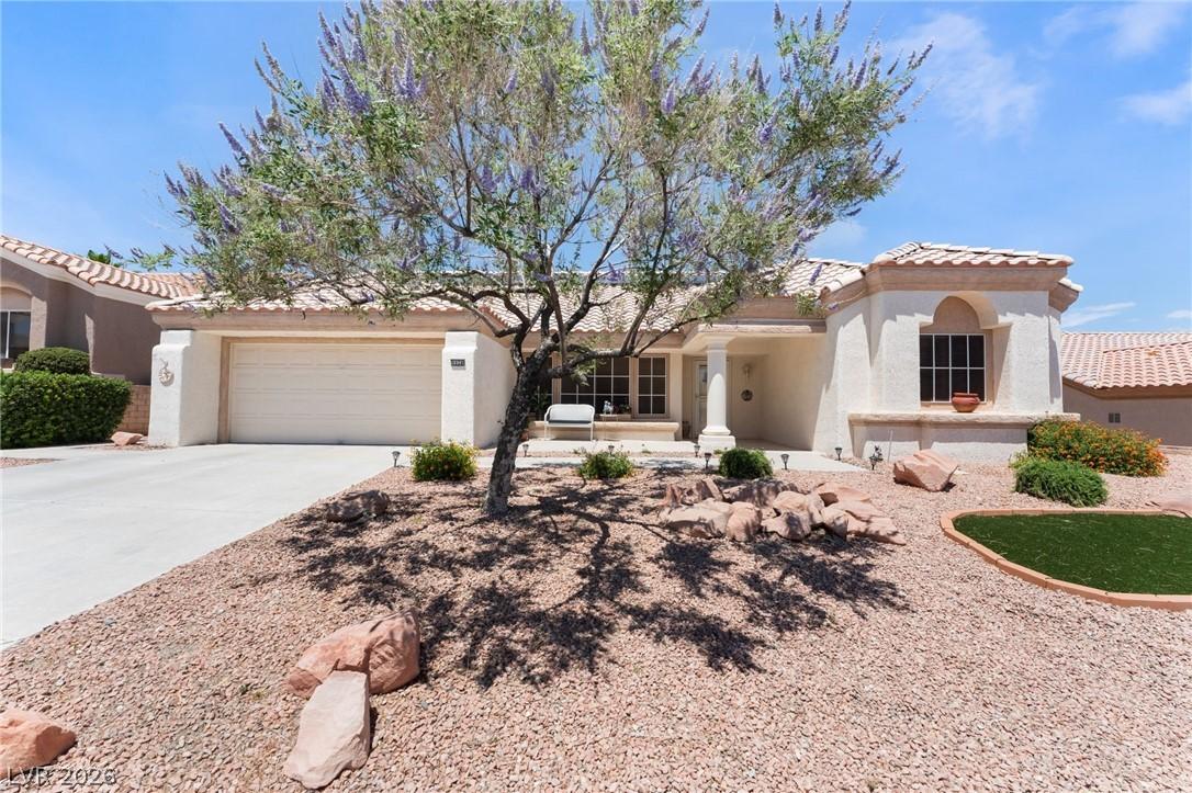 Image 2: A desert-friendly landscape with a blooming tree e
