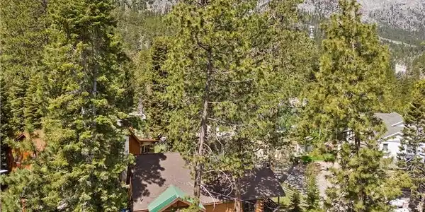 Image 4: Beautiful surrounding mountain and forest views!