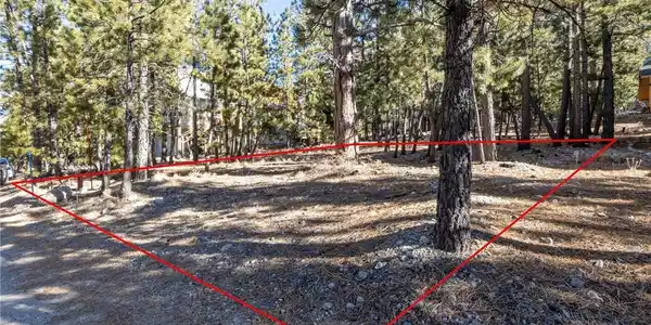 Image 4: dirt/gravel road frontage