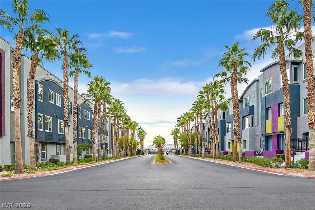Image 3: This palm-lined avenue showcases contemporary resi