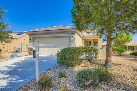 7824 Starthroat Court