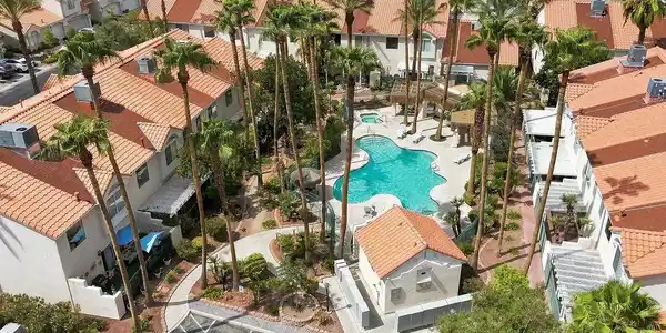 Image 2: Towering palm trees frame a sparkling community sw