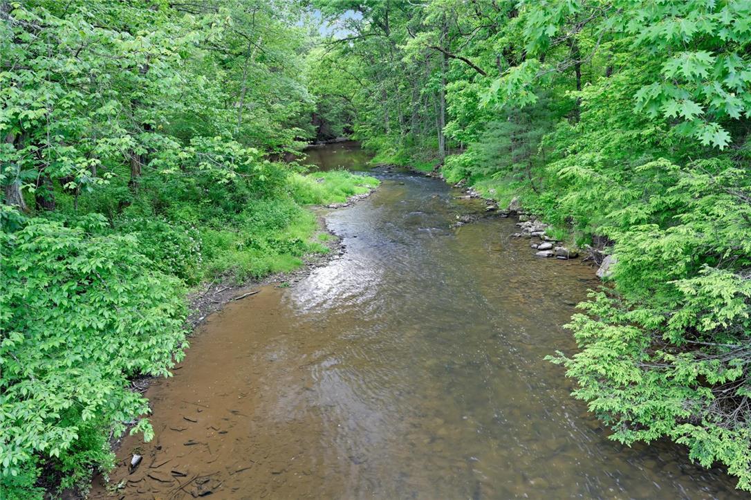 Image 1: A tranquil stream meanders through a verdant fores