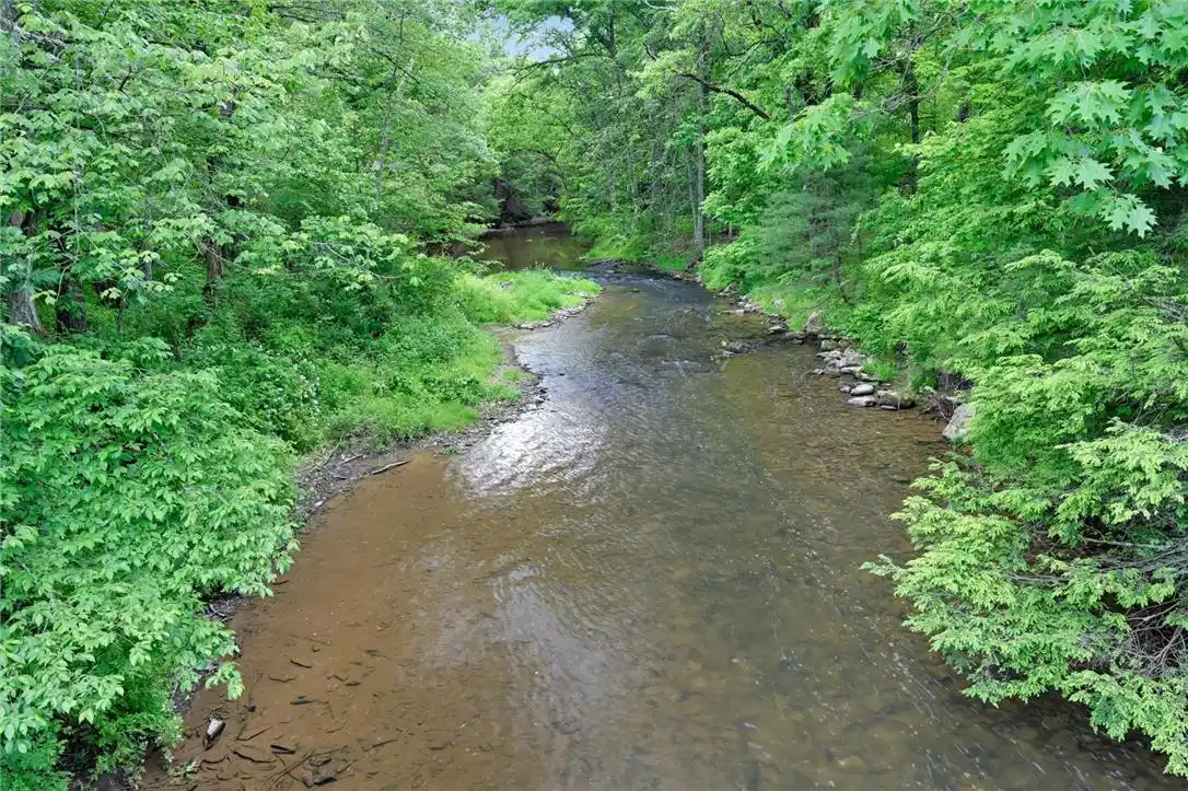 Image 1: A tranquil stream meanders through a verdant fores