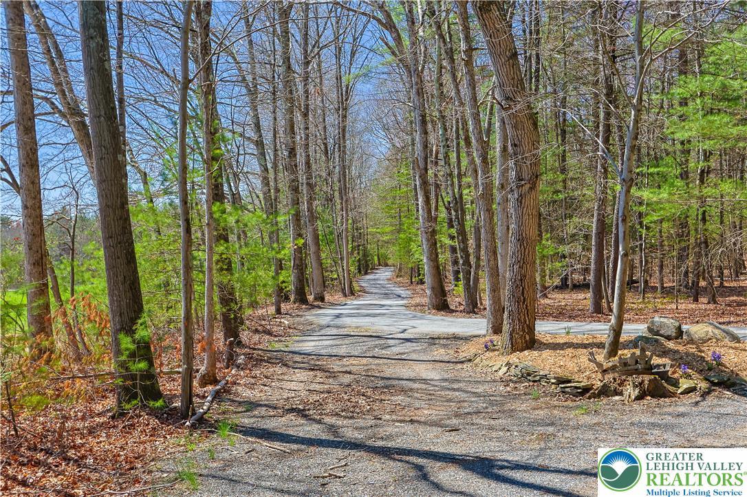 Image 4: Through Park Like Setting with Pristine Open Woods