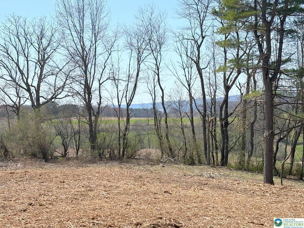 Image 3: A cleared building site offers tranquil rural vist