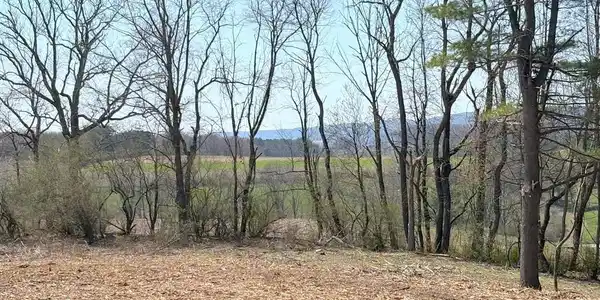 Image 3: A cleared building site offers tranquil rural vist