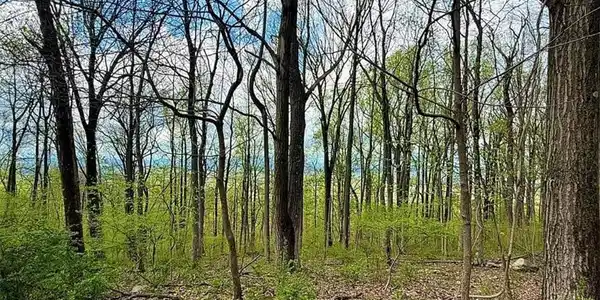 Image 3: Scenic mountain ridge top 2.4 acres ready for your