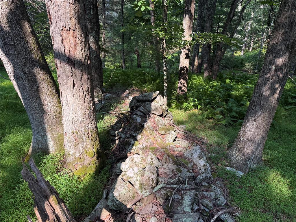 Image 2: Ancient stone wall delineates property lines withi