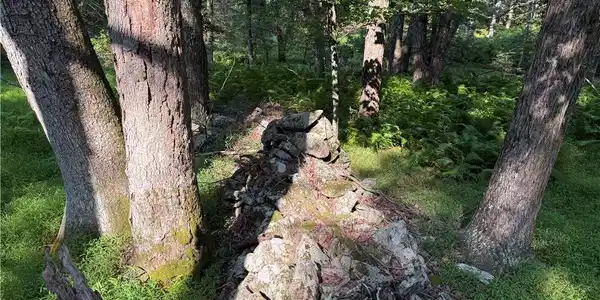 Image 2: Ancient stone wall delineates property lines withi