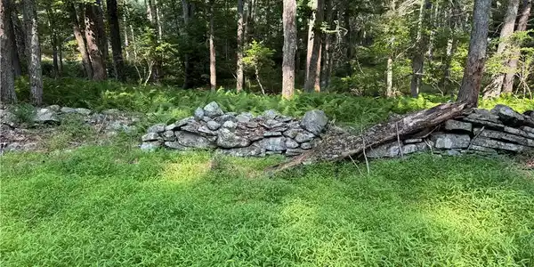 Image 4: Mature trees and a rustic stone wall frame this pr