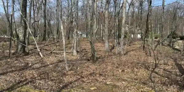 Image 4: back of lot looking to the front