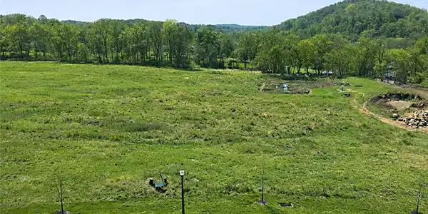 Image 3: Rolling green hills and dense treelines border thi