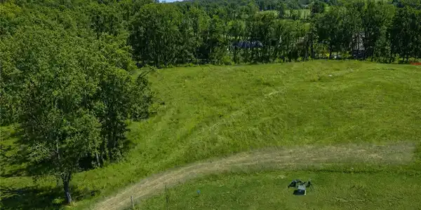 Image 2: Gently rolling green meadows are bordered by dense
