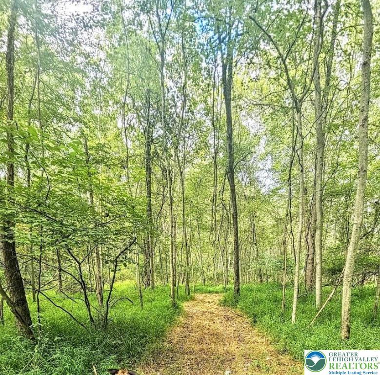 Image 3: Woods behind property