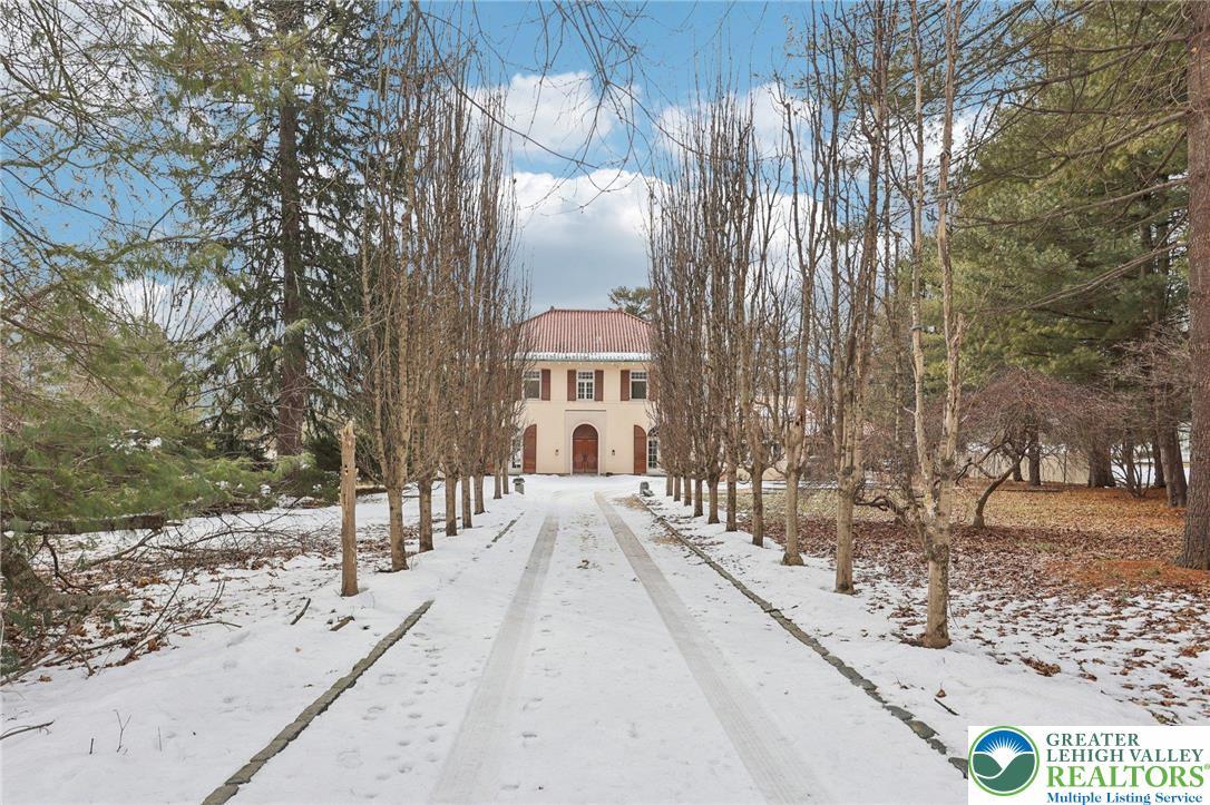 Image 4: Tree Lined Driveway