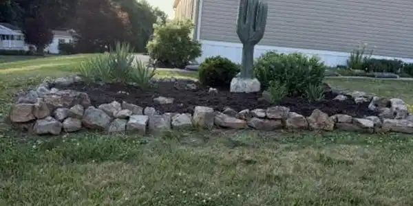 Image 4: A vibrant garden bed featuring a unique cactus scu