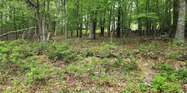Seneca Road