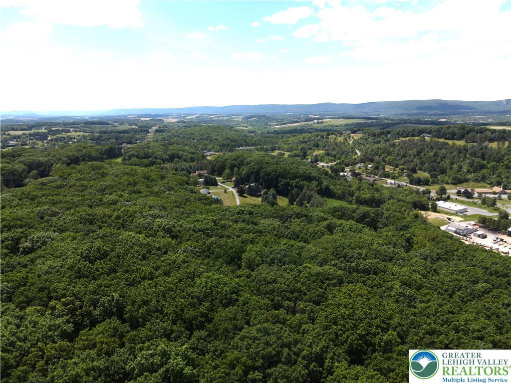 Image 3: A tranquil, verdant landscape unfolds with distant
